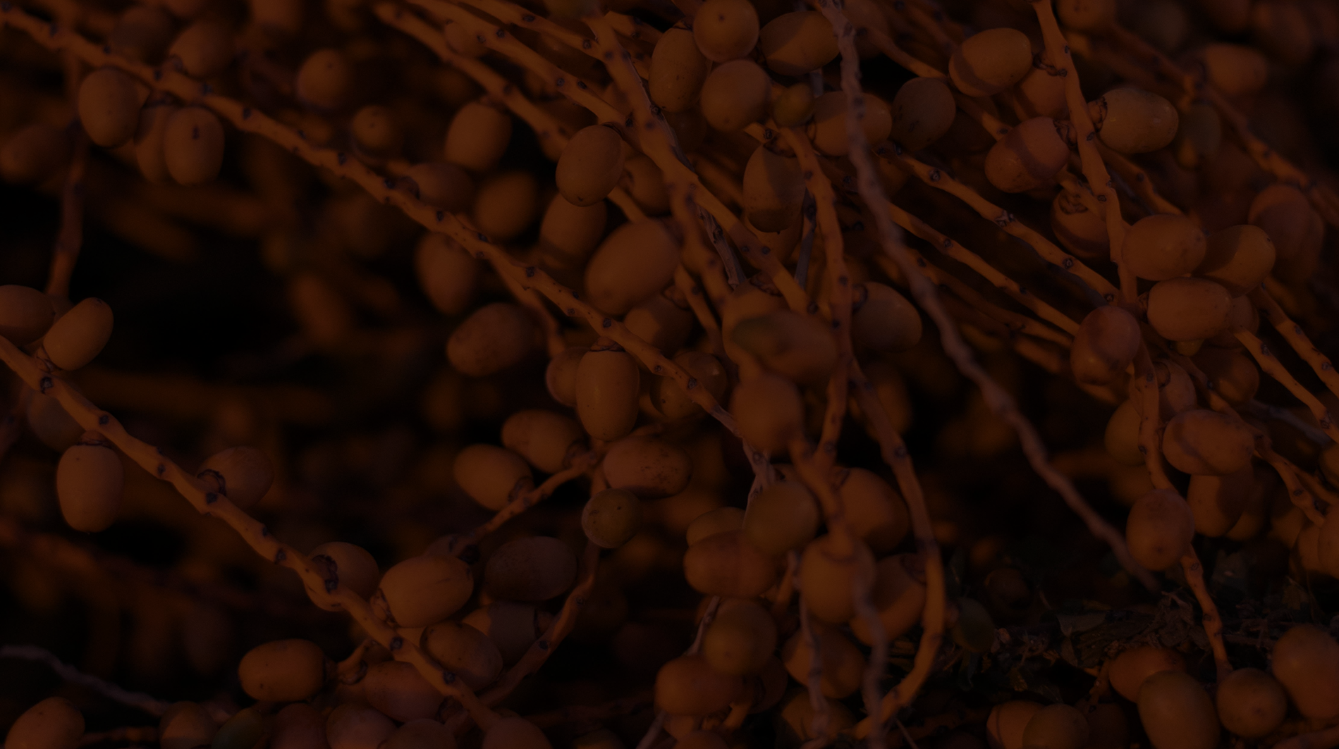 Heritage background